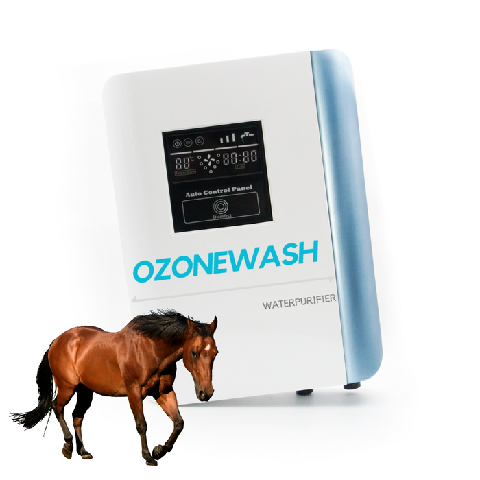 OZONEWASH WATER HORSE